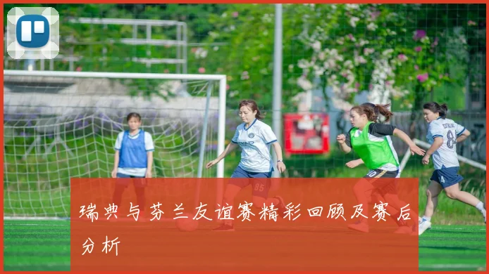 瑞典与芬兰友谊赛精彩回顾及赛后分析