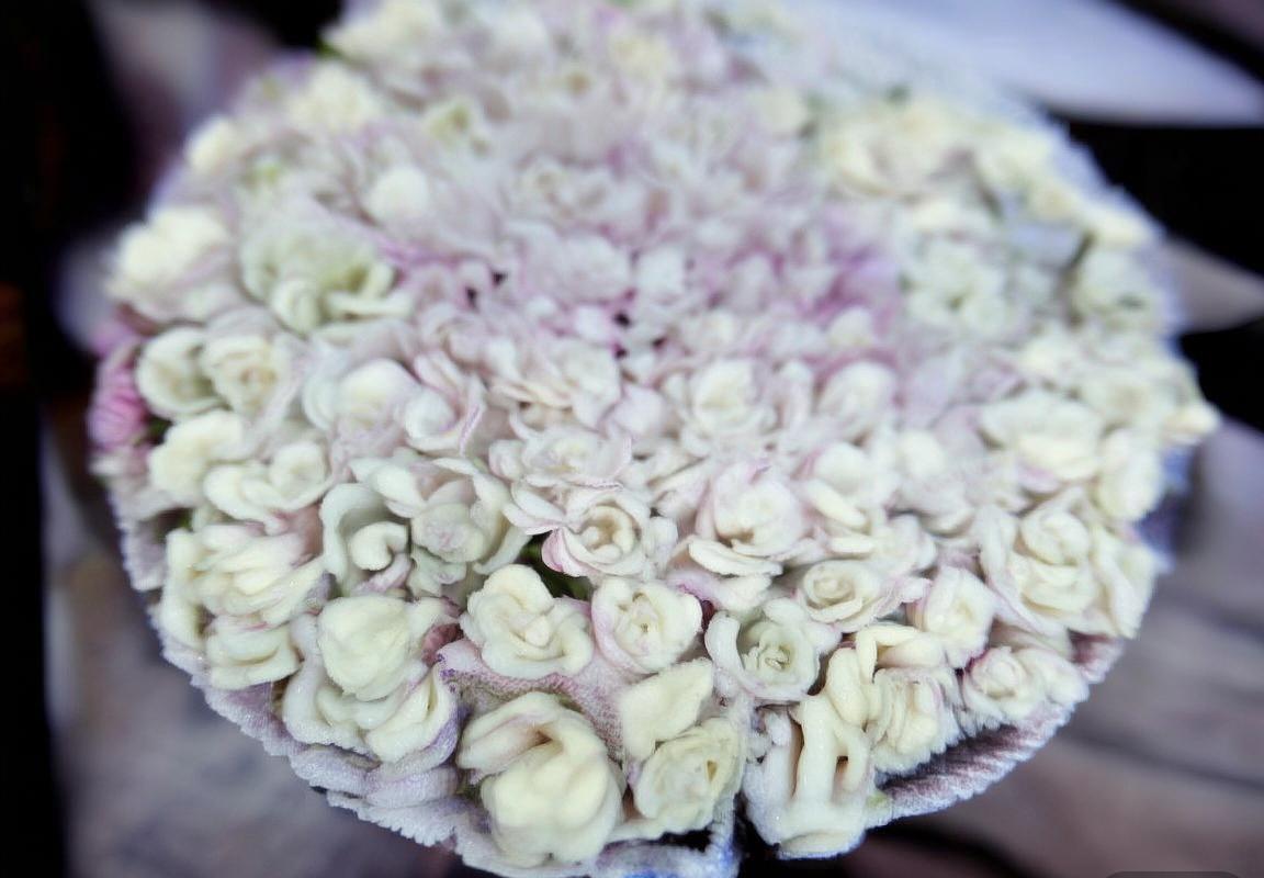 贵州智诚VS河南队：焦点对决，全力争胜，足球魅力盛宴(图3)