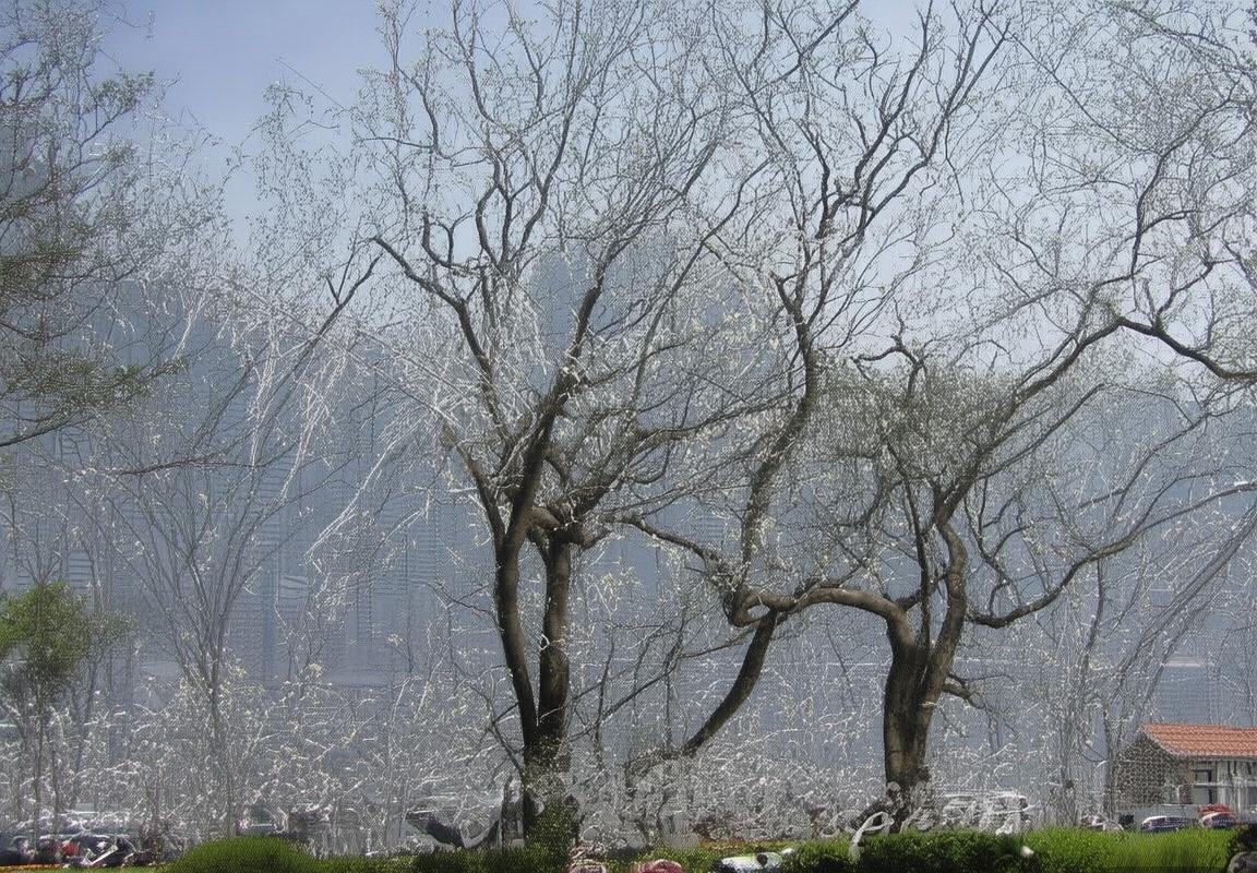 贝红星VS布斯巴达：巅峰对决，心理与战术的较量(图4)